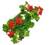 Französische Geranien hängend Pelargonium peltatum Ville de Produktbild-Vorschau 5