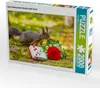 CALVENDO Puzzle Das Eichhörnchen wünscht alles Gute! 2000 Produktbild-Vorschau 3