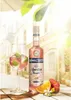 Ramazzotti Aperitivo Rosato 1 Liter Produktbild-Vorschau 6