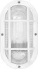 Osram LED Wandleuchte Bulkhead Essential Oval E27 weiß Produktbild-Vorschau 5
