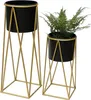 Two black plant pots on gold geometric stands against a white background. Voir les images du produit