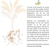 Amerikanisches Pampasgras (Cortaderia selloana) - Produktbild-Vorschau 6
