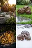Boule De Jardin Grande Lampe Décorative Boules De Jardin Voir les images du produit 15