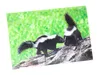 3 D Ansichtskarte Stinktiere, Postkarte Wackelkarte Produktbild-Vorschau 1