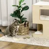 PawHut kočičí jeskyně, třípatrová skříňka pro kočky s Náhled obrázku produktu 9