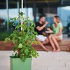 Gusta Garden TOM TOMATO 3er-Set dunkelgrün Produktbild-Vorschau 11