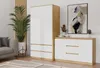 Cassettiera ampia con cassetti e ante ELBE - rovere Anteprima dell’immagine prodotto 8