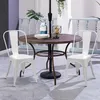 Duhome Chaises de bistrot Chaise en métal Lot de 2 en fer Voir les images du produit 2