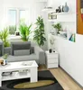 A modern living room scene featuring a gray sofa, a white coffee table, a white nightstand, and various plants. Produktbild-Vorschau