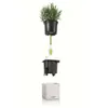 LECHUZA Green Wall Home Kit, Kvetináč, Nástenný, Náhľad obrázku produktu 8