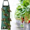 2 pièces de jardinière de fraises retournée - 8 trous de Voir les images du produit 5