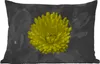 MuchoWow® Outdoor Kissen - Blumen - Aquarell - Löwenzahn - Produktbild-Vorschau 1