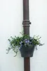 elho corsica Regenrohrpflanzgefäss 24cm - kirsche Produktbild-Vorschau 2