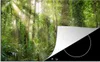 KitchenYeah© Herdabdeckplatte Licht im Wald , 80x52cm, Produktbild-Vorschau 1