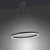 PAUL NEUHAUS LED závěsné světlo 2382-13 antracit, 38,5 W, Náhled obrázku produktu 11