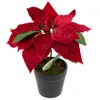 Betlémská hvězda Umělá sametová v květináči Poinsettia Náhled obrázku produktu 1