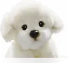 Carl Dick Bichon cane seduto ca. 24 cm 3216 Peluche, Anteprima dell’immagine prodotto 4