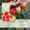 Tomatensamen (Principe Borghese, 10 Korn) - Tomaten Saatgut Produktbild-Vorschau 2