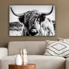OneMillionCanvasses® - Obrazy na plátně - Kráva - Skotský Náhled obrázku produktu 5