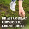 COMPO SAAT Rasen-Reparatur Komplett Mix+ 4 kg Produktbild-Vorschau 3