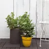 KETER Doniczka Cylinder M 36 X 36 X 373 cm - Brązowy 223941 Podgląd zdjęcia produktu 7