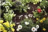 Gardena 1362-20, 15 m, Nad zemí, Černá Náhled obrázku produktu 5