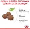 Royal Canin Medium Puppy, Szczenięta, Kukurydza, Drób, 4 kg Podgląd zdjęcia produktu 6