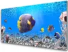 Acrylglasbilder 100x50 Wandbild Druck Fische Natur Produktbild-Vorschau 1