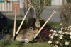 -Sauzahn, mit Buchengriff (14cm) Produktbild-Vorschau 4