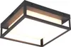Lampa elewacyjna plafon zewnętrzny WITHAM antracyt Trio Podgląd zdjęcia produktu 1