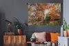MuchoWow® Wandteppich Wandbehang Sonnenlicht durch einen Produktbild-Vorschau 5