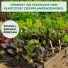 Allflor pierwotna mączka skalna 10 kg - dla lepszych plonów Podgląd zdjęcia produktu 4