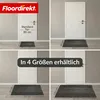 Floordirekt Schmutzfangmatte Circa, waschbare Fußmatte für Produktbild-Vorschau 2