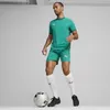 Puma Teamfinal Trikot Kurzarm Herren - Grün  | Größe: L Produktbild-Vorschau 6