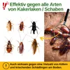 Collage of cockroaches on a white background and in a natural setting, with a magnifying glass highlighting some of them. Text overlays provide product information. Produktbild-Vorschau