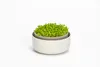 Plastia Urbalive Keimsprosskit für Microgreens, Elfenbein Produktbild-Vorschau 21