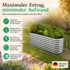 HomeLuxWorld Hochbeet Metall 160x80x80 cm Silber verzinkter Produktbild-Vorschau 2