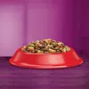 ‎Whiskas 5900951014345, Dospělý jedinec, Jakékoli plemeno, Náhled obrázku produktu 4