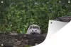 MuchoWow® Produktbild-Vorschau 1