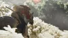A person on horseback in a natural environment. Produktbild-Vorschau