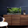 Dennerle Nano Tank Complete, 60 Liter - 60 x 35 x 30 cm - Produktbild-Vorschau 4
