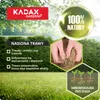 KADAX travní osivo, 200 m2, travní osivo, univerzální Náhled obrázku produktu 7