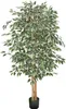 SucceBuy Ficus artificiel, 1,8 m, avec pot noir, plante Voir les images du produit 1