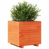 vidaXL Pflanzkübel Wachsbraun 50x50x49,5 cm Massivholz Produktbild-Vorschau 4