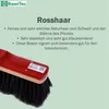 BawiTec Echt Rosshaarbesen 30cm mit Teleskopstiel Produktbild-Vorschau 6
