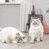 Trixie Katzenspielzeug Bär aus Stoff mit Catnip (1 Stück) Anteprima dell’immagine prodotto 5