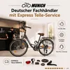 oToMUNICH Plus Boring Grey 28 Zoll Fahrrad, Shimano 7-Gang, Produktbild-Vorschau 8