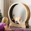A woman is playing with her cat on a cat wheel, with a Christmas tree in the background. Voir les images du produit
