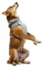 Ruffwear Hundegeschirr Front Range® Flex Harness Polar Produktbild-Vorschau 9