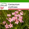 SAFLAX - Centaury - Centaurium erythraea - 250 Semená - S Náhľad obrázku produktu 5